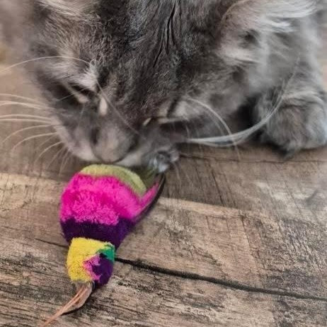 Cat playing with the Findlay Bird realistic cat toy – feathered, bird shaped cat toy perfect for cats who love to chase, pounce, and play. Or spark joy, movement, and kitten-like energy in cats that might’ve left their wild days behind.