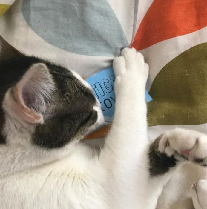 Potent Cat nip - Cat sniffing card from Leaf and bud cat nip 5g resealable - Potent Catnip - Leaf and bud catnip in 5g or 10g sizes, packaged in eco-friendly glassine recyclable or durable plastic packaging.packet