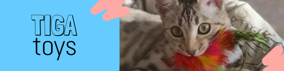 How to Choose the Best Cat Toys for Your Cat | Tiga Toys Guide