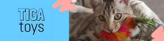 How to Choose the Best Cat Toys for Your Cat | Tiga Toys Guide