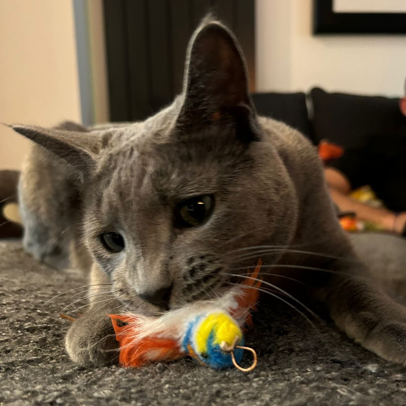 Feather Hunter