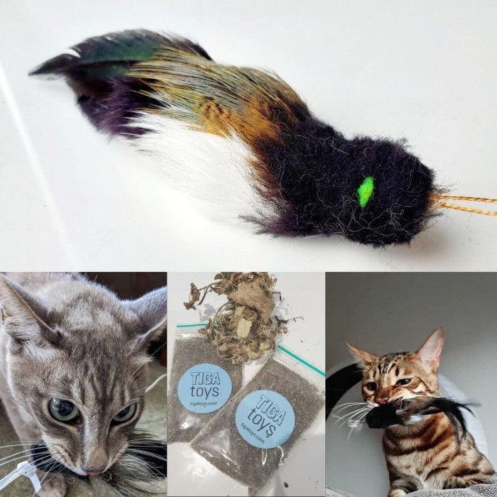 Bettie Black Bird Feather Cat Toy + 5g Cat Nip Set │by Tiga Toys