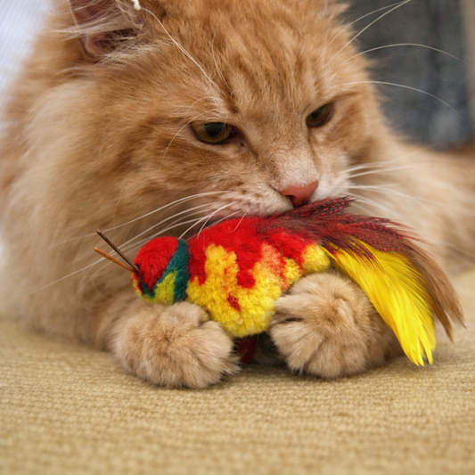 Henry Hummingbird Bird Cat Toy │by Tiga Toys