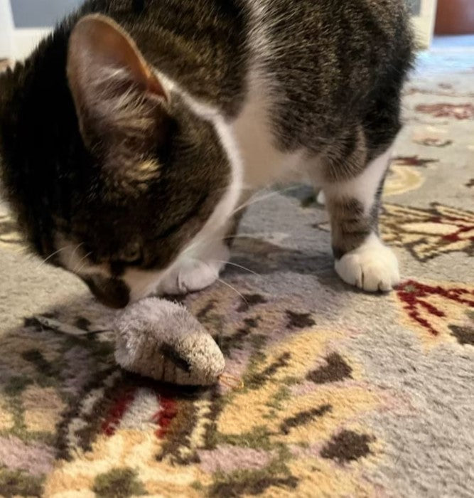 Cat having a sniff and about to play with of Melvin Mouse Cat Toy Tiga Toys