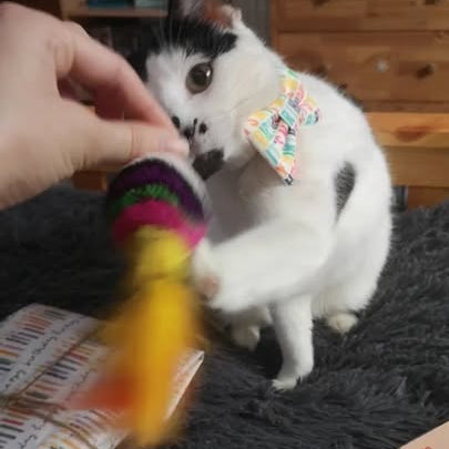 Colourful Feather Mardi Cat Toy with Feather Tail Teaser │by Tiga Toys