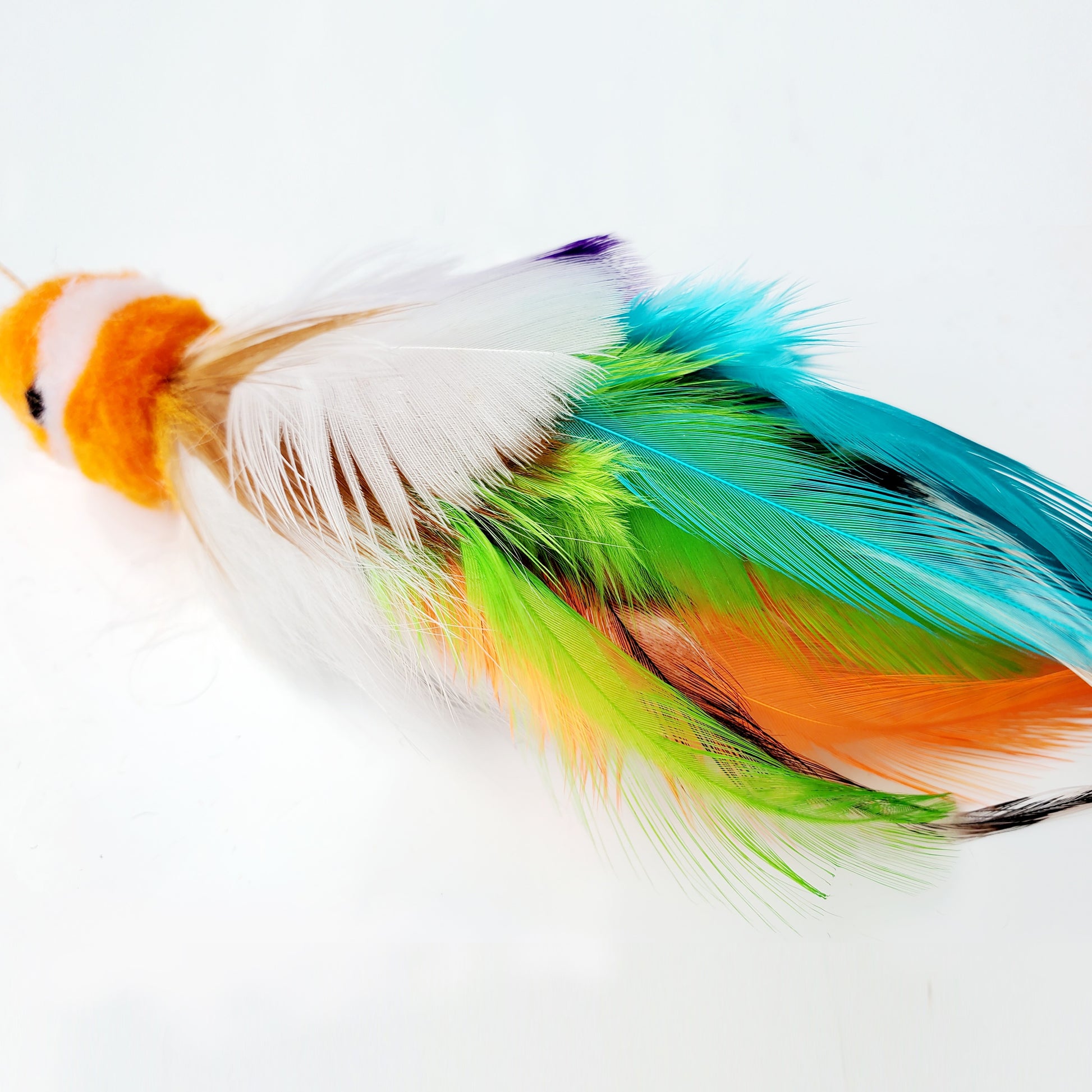 Colourful feathers of Percy Parrot  by Tiga Toys