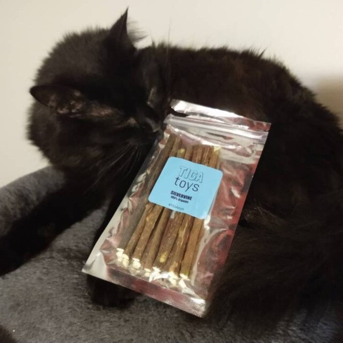 Cat with Silvervine pack smelling its fragrant sticks by Tiga Toys