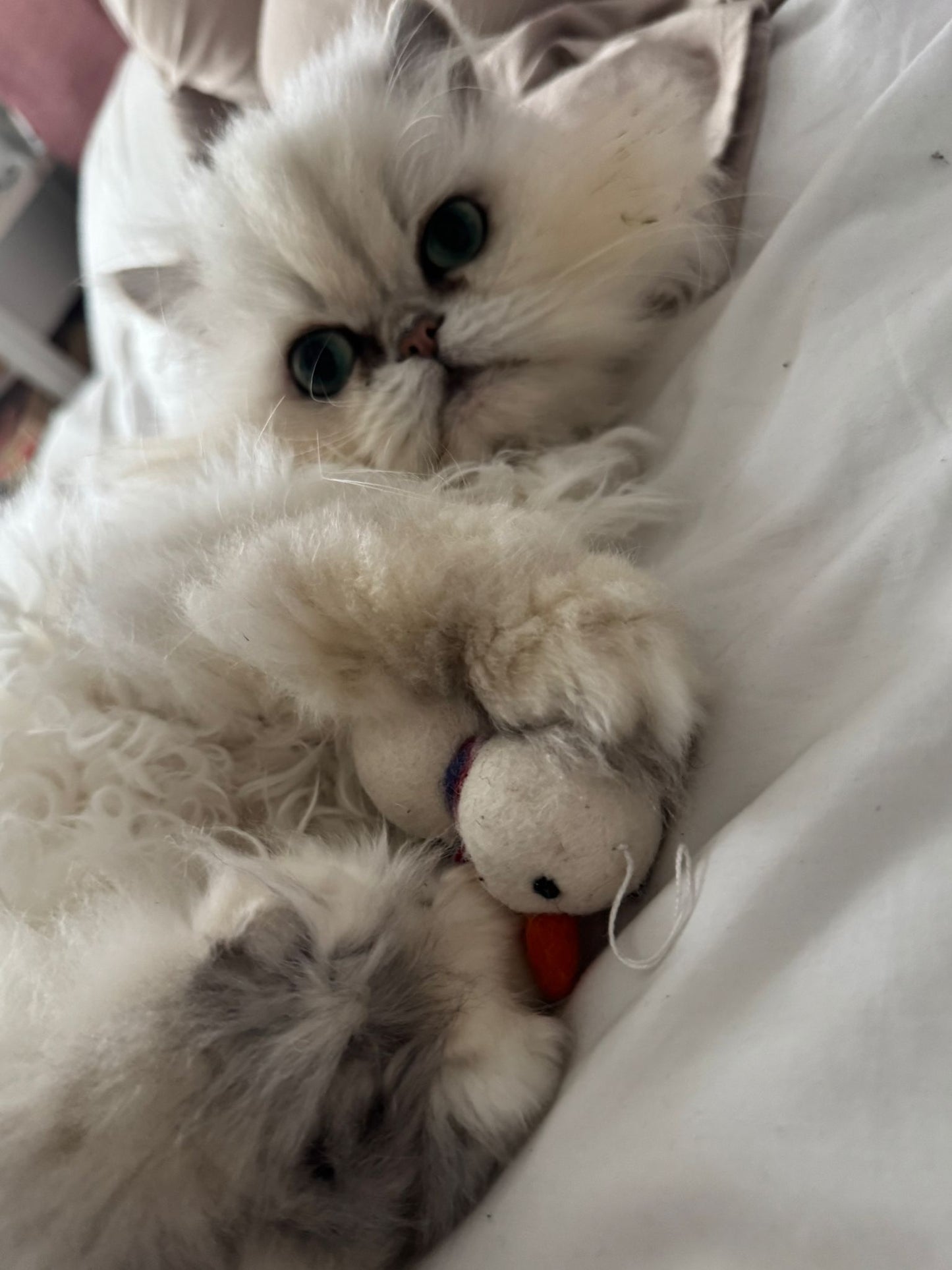 Felt Wool Snowman Ornament Cat Toy – Handmade Christmas Tree Decor & Cat Wand Toy – Eco-Friendly 2-in-1 Holiday Gift