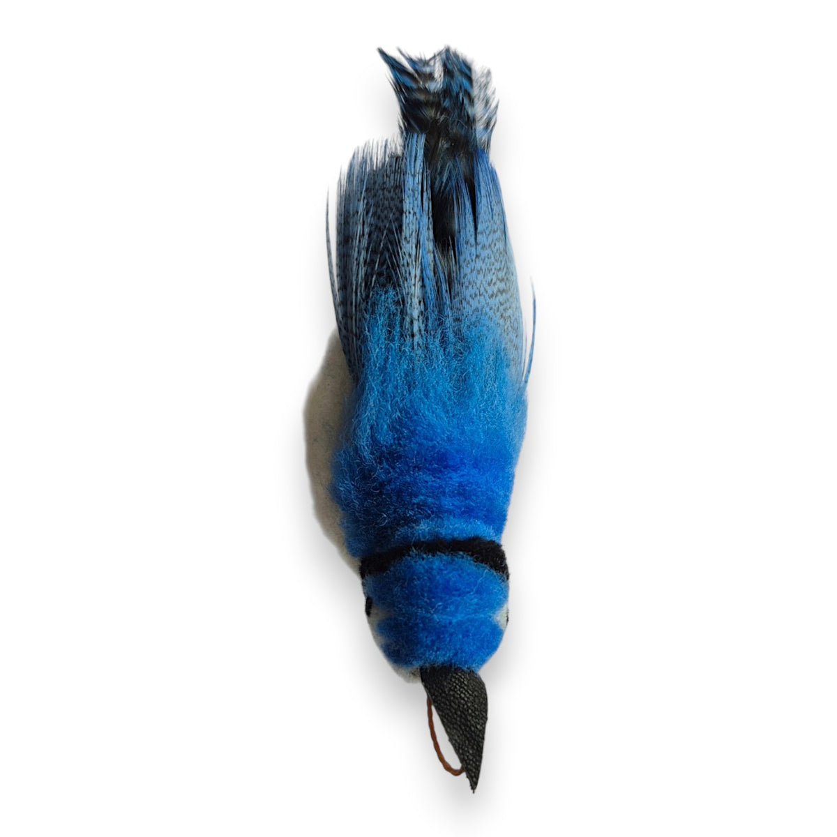 Blue Jay bird cat toy with bright blue feathers and realistic bird design
