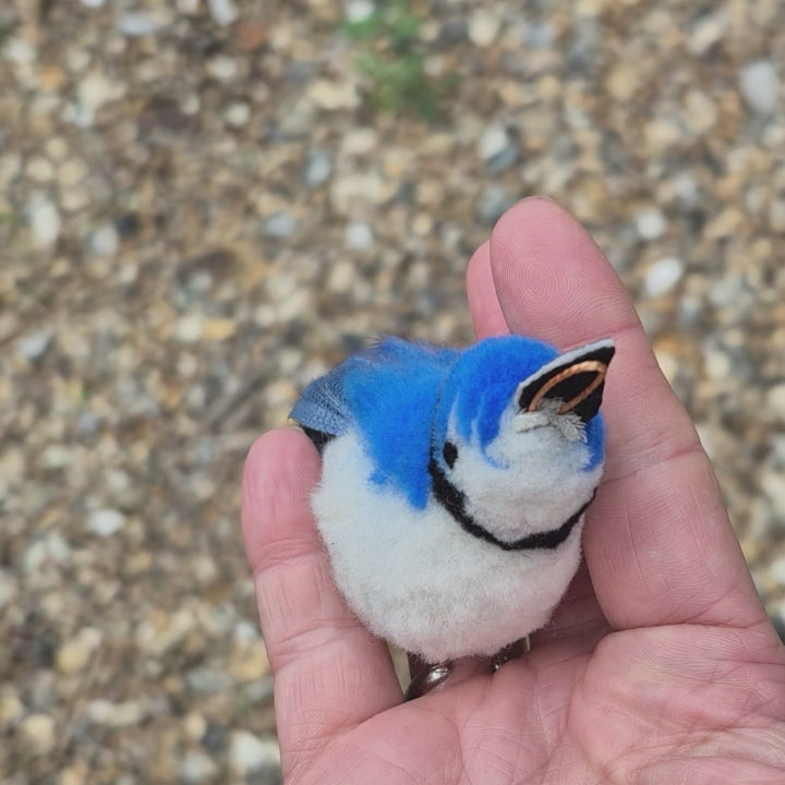 Handmade American Blue Jay feather cat toy by Tiga Toys shown during interactive chase and play