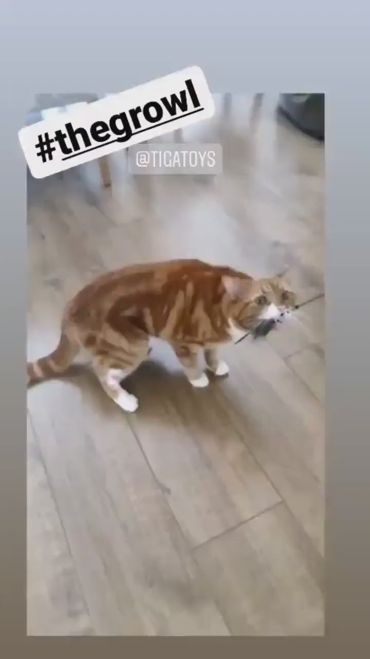 Beautiful cat playing with Rafa Rat Cat Toy from Tiga Toys