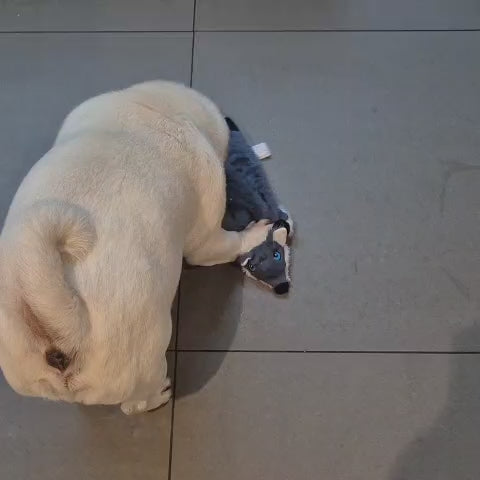No stuffing fox dog toy designed to help reduce mess during supervised play